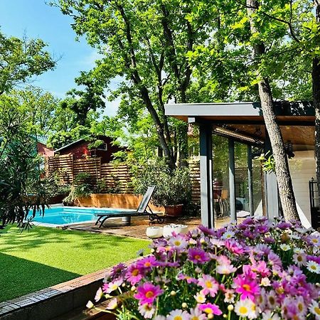 Pine-Wood Resort Balatonalmádi Buitenkant foto